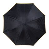 4519701_2.jpg
