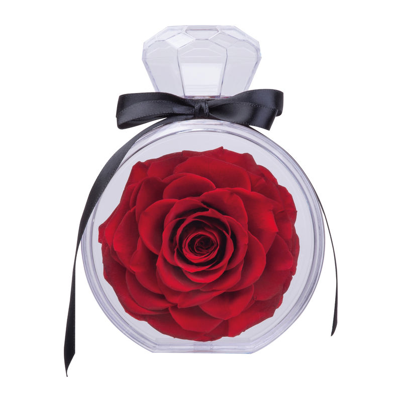 7542705_3 Preserved rose