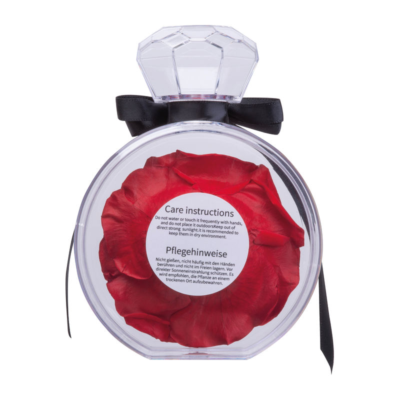 7542705_4 Preserved rose