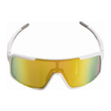 Polarized sports sunglasses